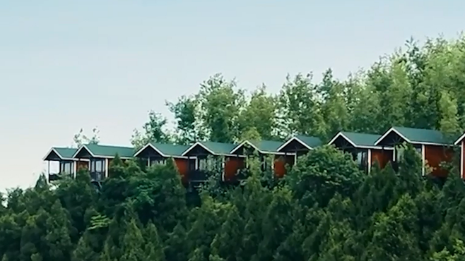 踏歌而来