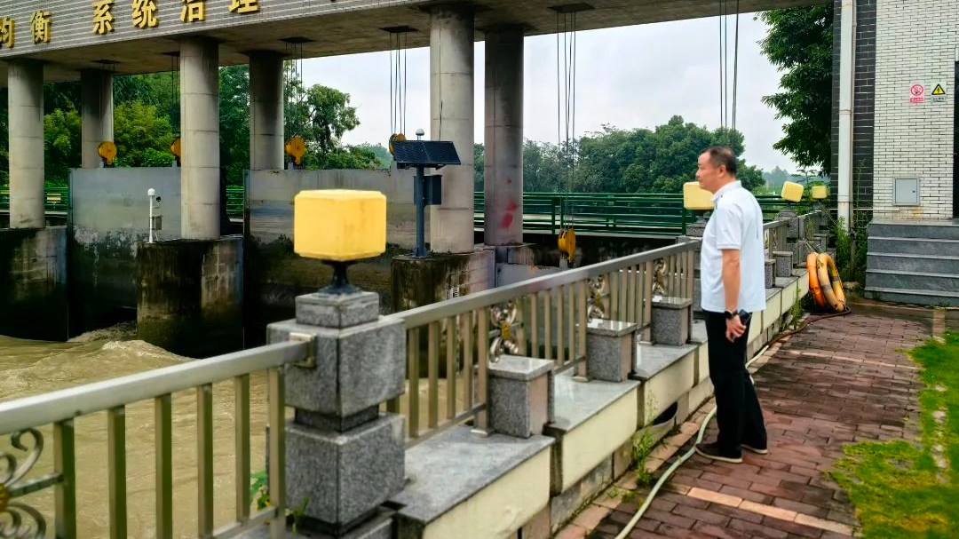 暴雨中的守护力量！青羊区全力筑牢城市安全防线