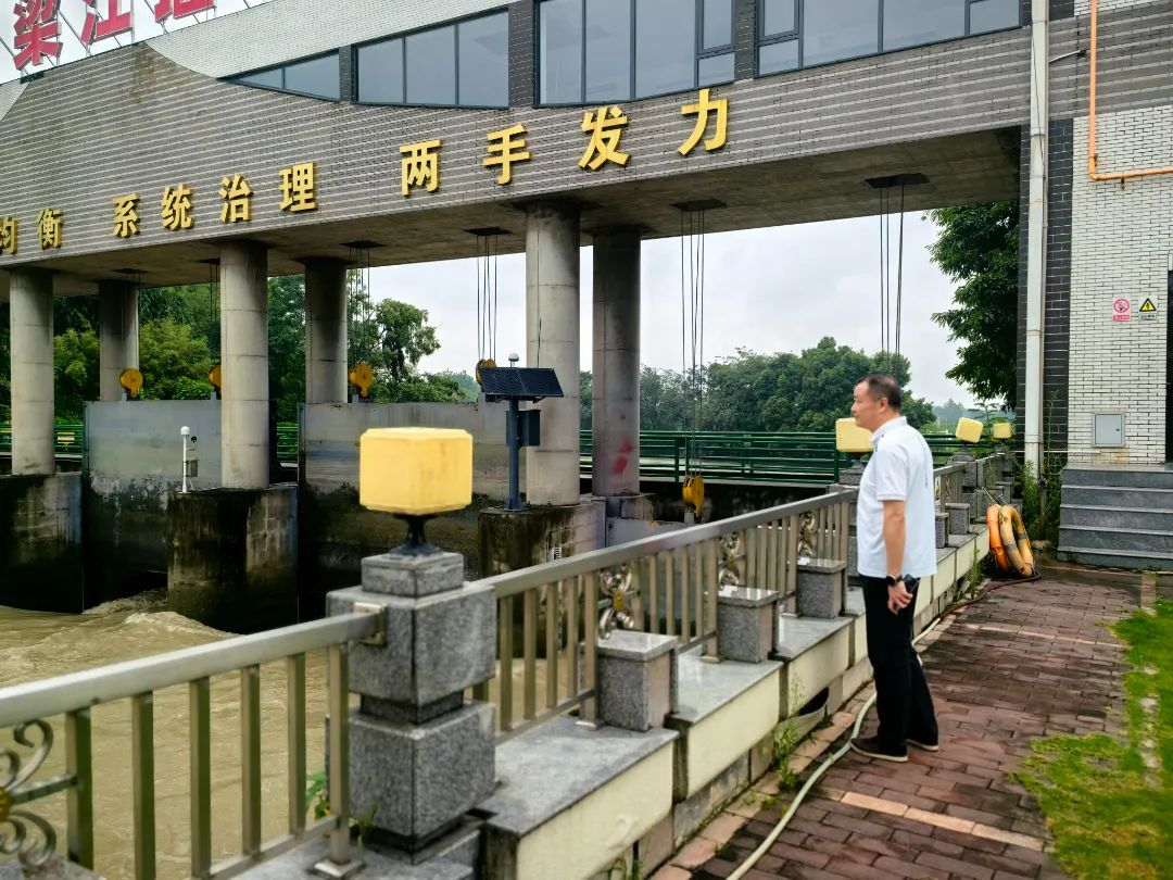 de8643b8-13cc-45f5-bdf4-5fb1eaacb149.jpg