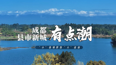 【“小”县域释放“大”能级⑧】来蒲江！看石刻、做手工，农业大县还能这么玩！