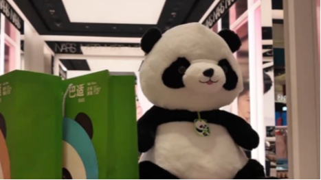 这个夏天 一起来一次沉浸式的熊猫文化体验之旅