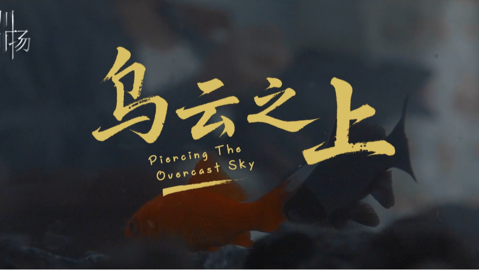 乌云之上