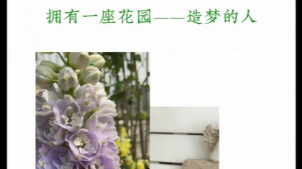美上央视！成都阳台“天花板”藏不住了~