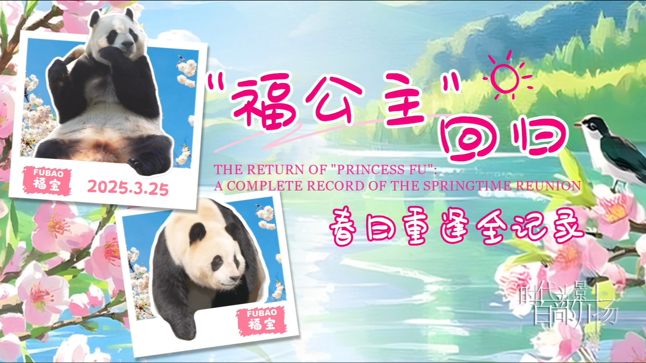 “福公主”回归：春日重逢全记录