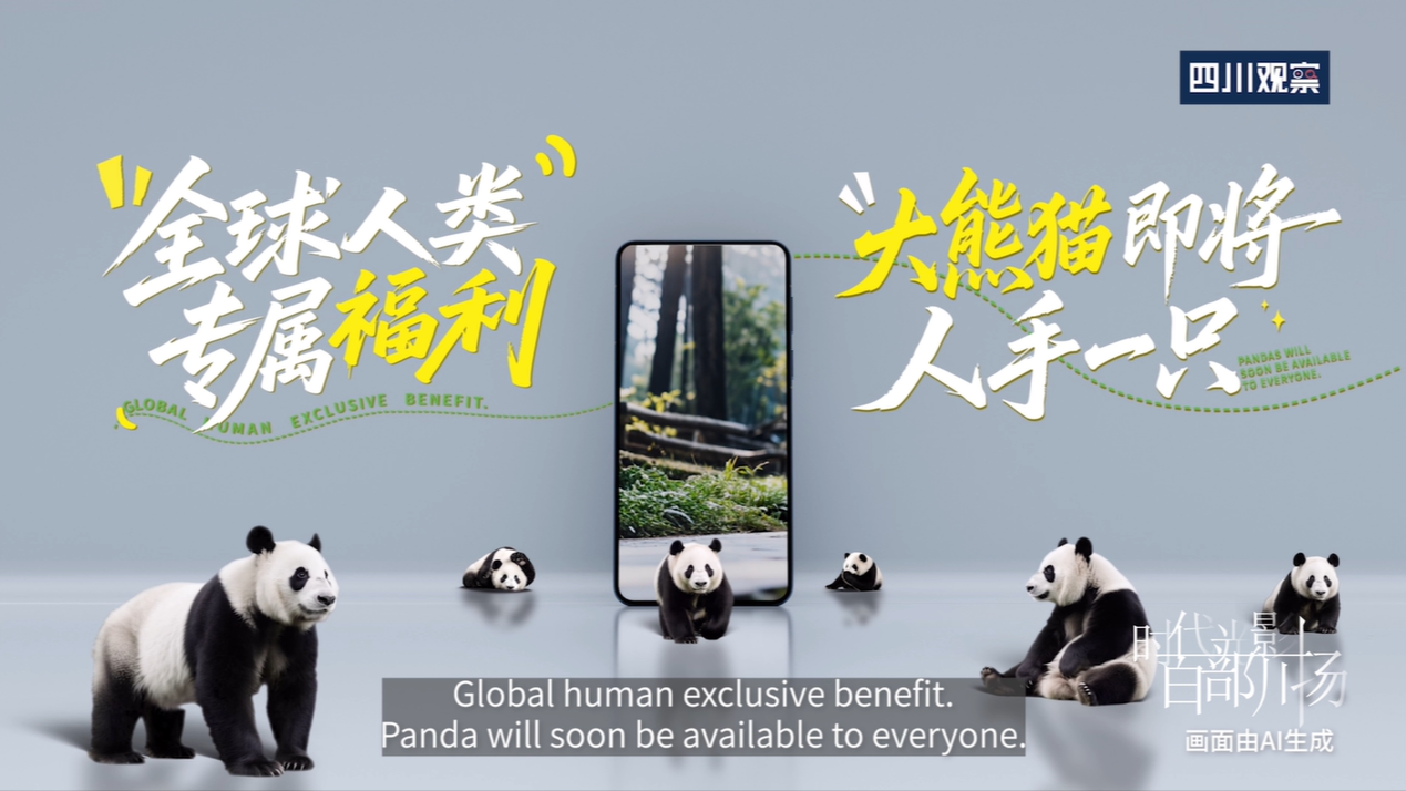 我们的 panda