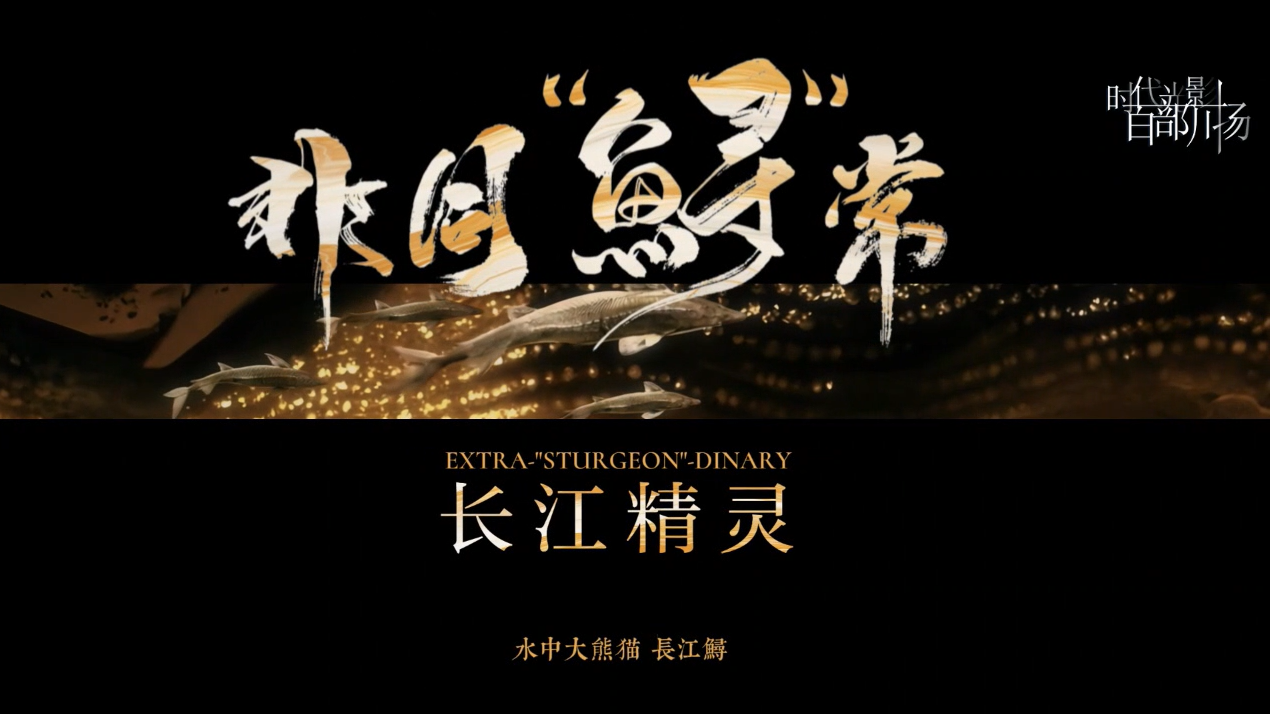 非同“鲟”常