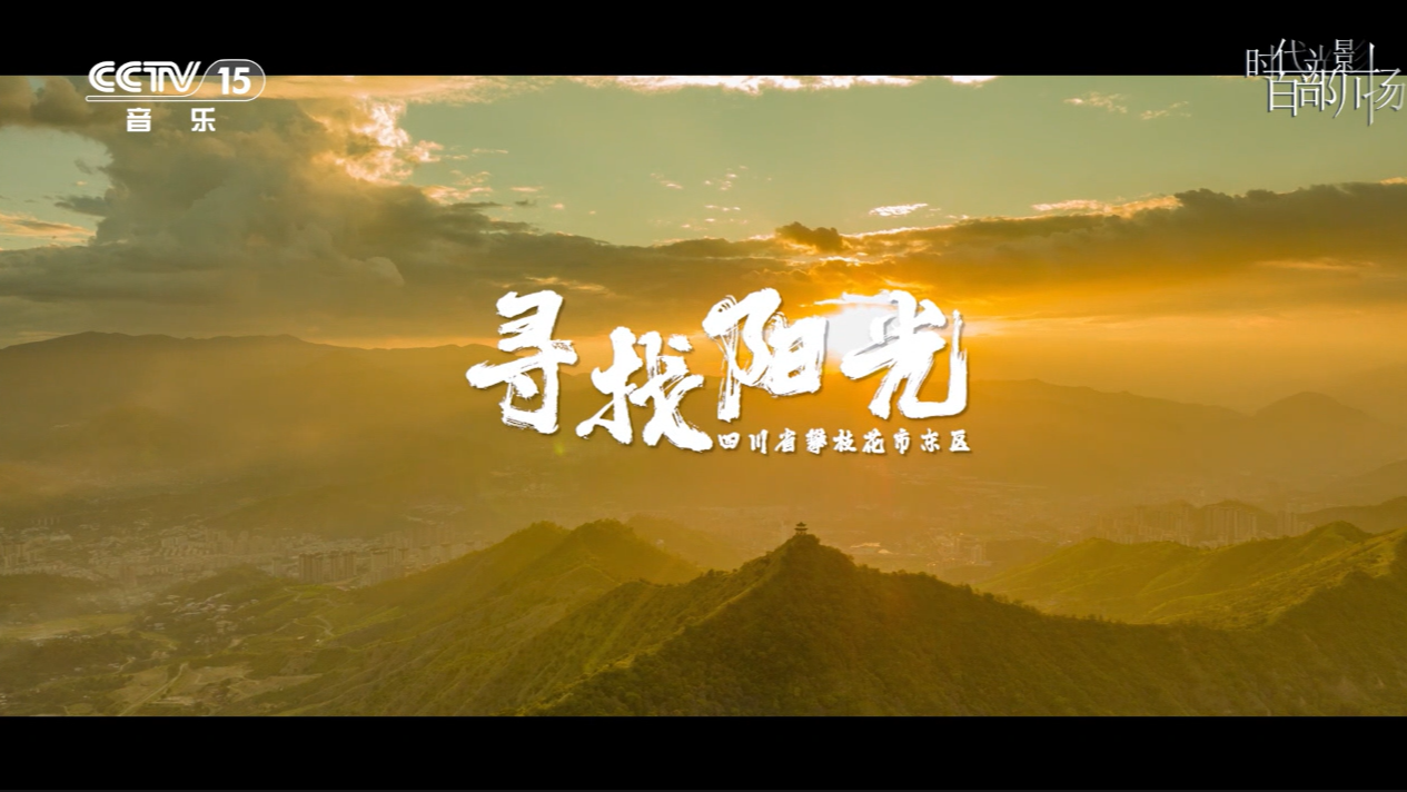 寻找阳光