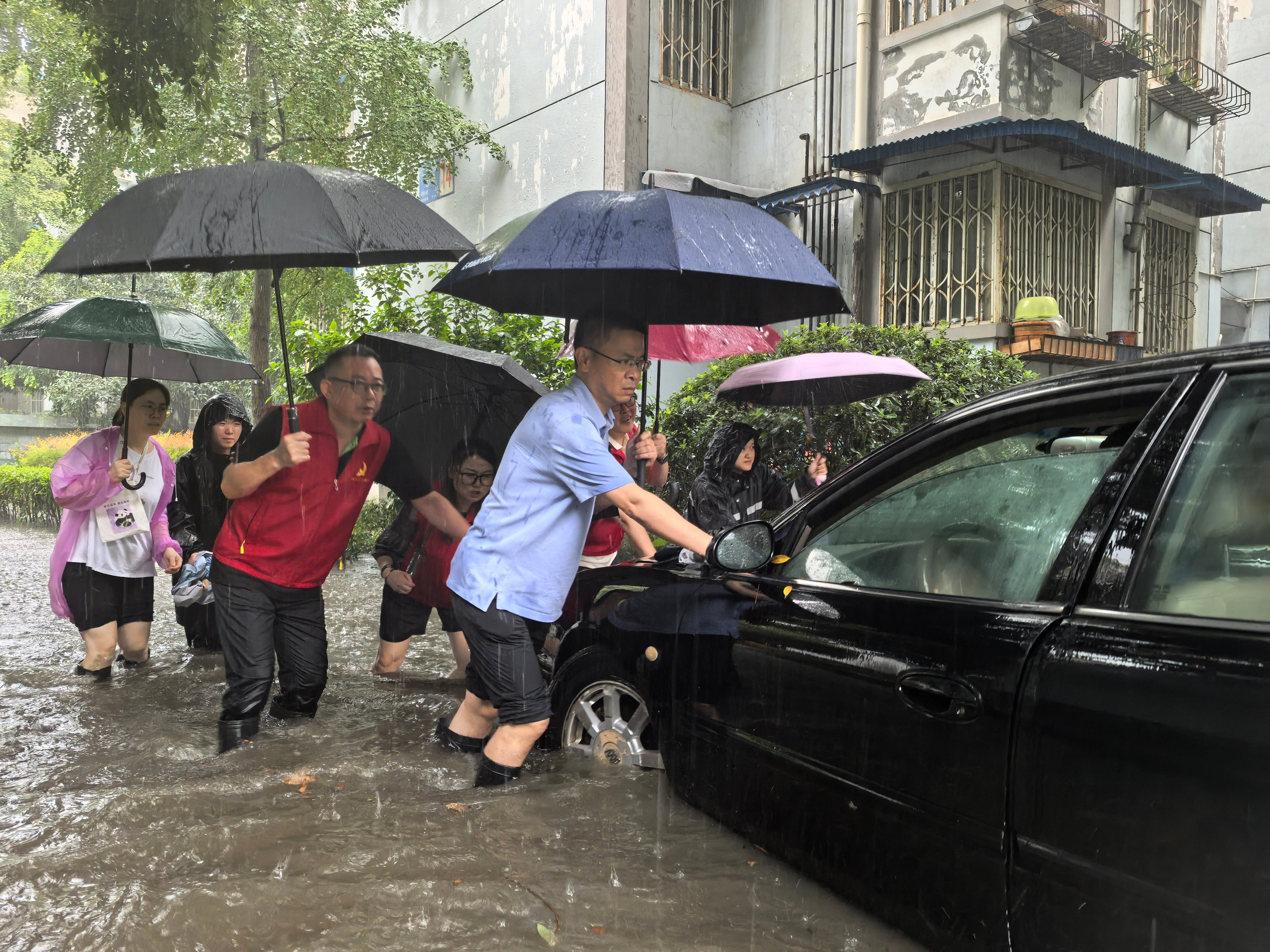 cdca79f0-a6f3-4474-87e3-3718d4254a8f.jpg