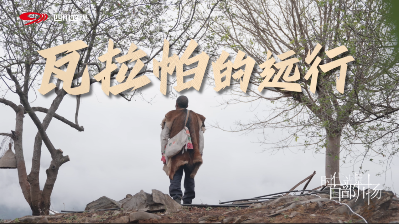 瓦拉帕的远行