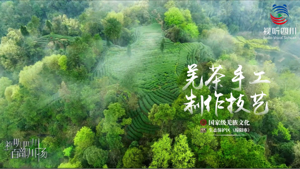 国家级羌族文化生态保护区宣传片(四):羌茶手工制作技艺