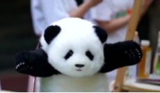 8月5日幸福188