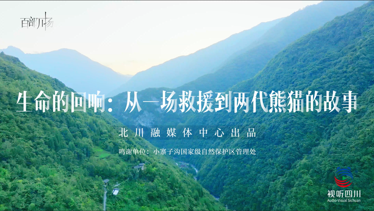 生命的回响:从一场救援到两代熊猫的故事