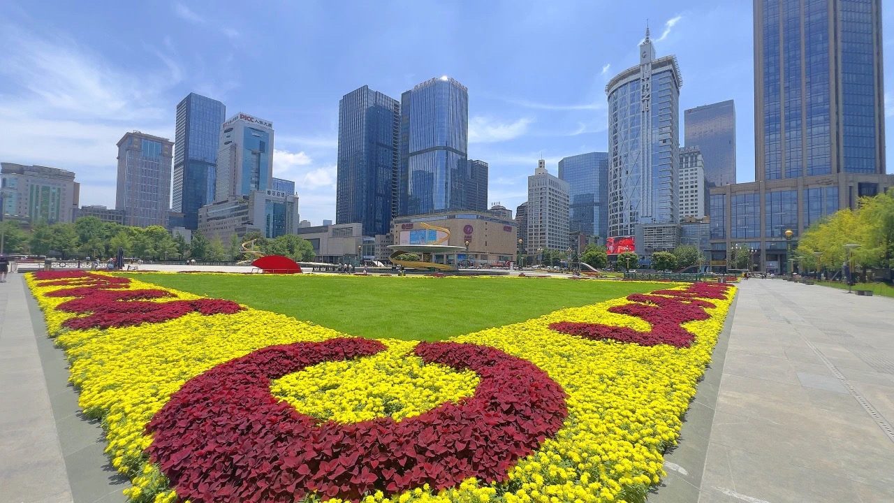“换装”了！成都街头更新栽植时令花卉