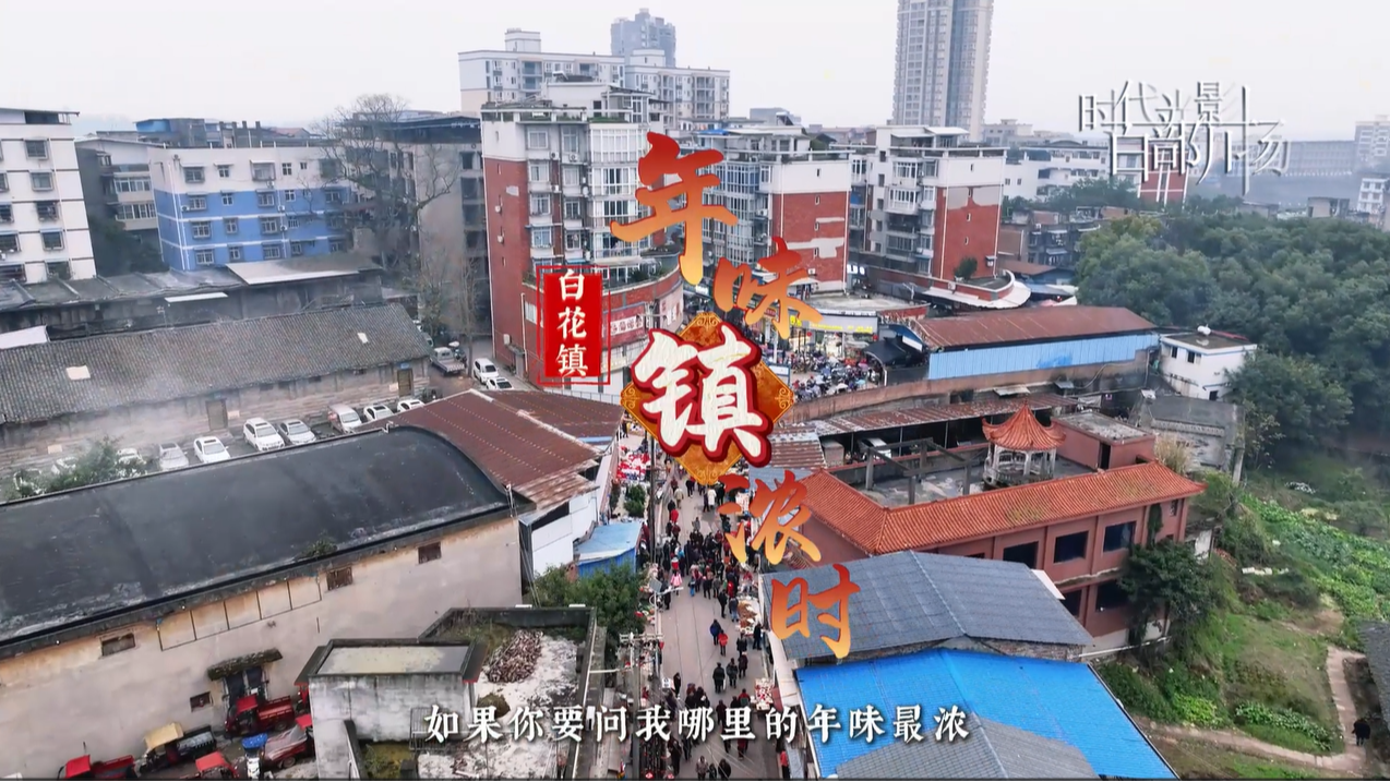 人间烟火处,年味“镇”浓时 | 来翠屏区白花镇赶场啦~