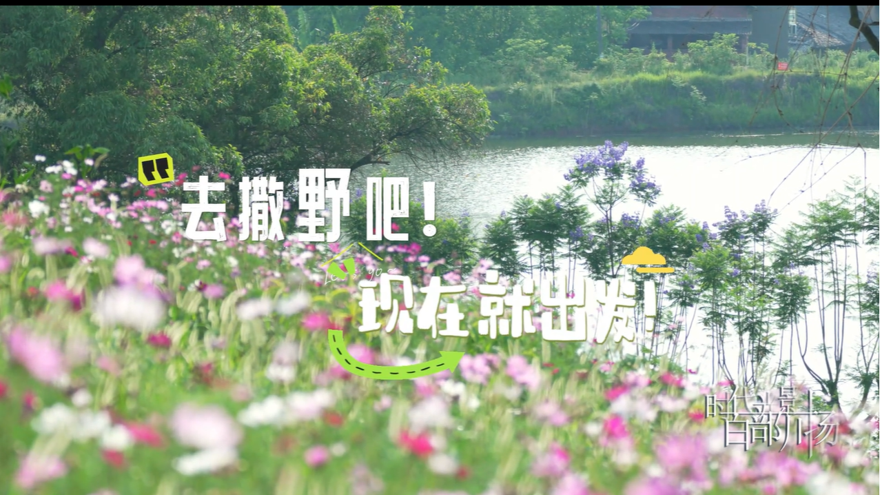去撒野吧 现在就出发