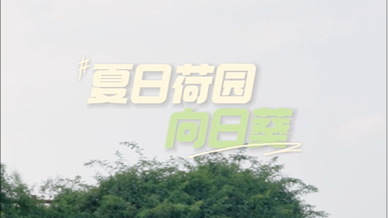 夏日荷园——向日葵