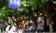 8月8日幸福188