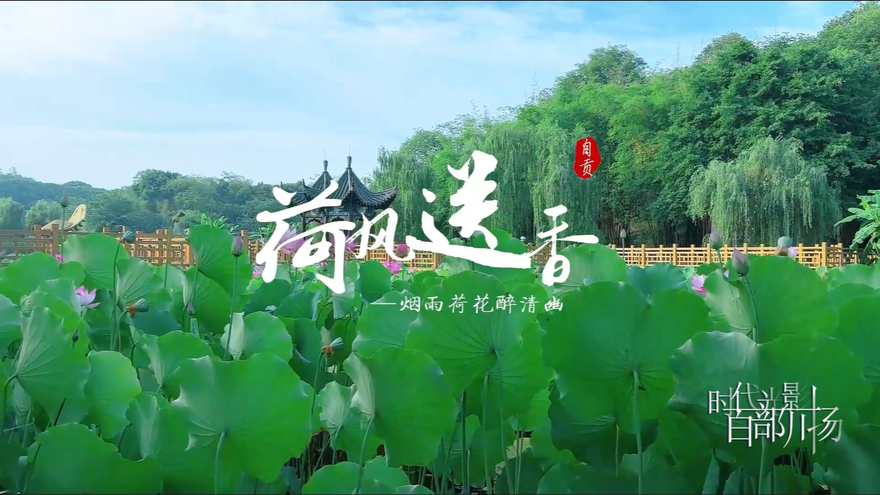 荷风送香