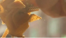 不可辜负的“牛滋味”