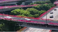 8月14日直播in成都