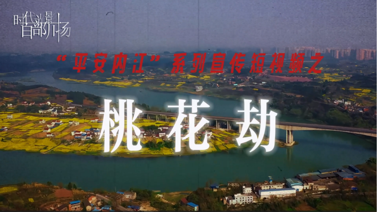 “平安内江”系列宣传短视频之桃花劫