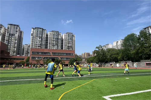 20250818_140133_059.jpg 20250818_140133_059.jpg