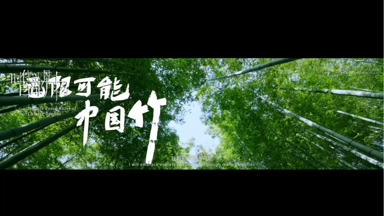 无限可能中国竹