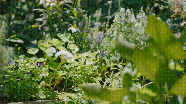 b29add59-4468-401a-8d4c-6b5921b06ea7.gif