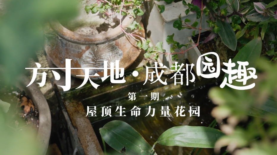 空中绿洲！140㎡屋顶藏着会“呼吸”的生命力量花园