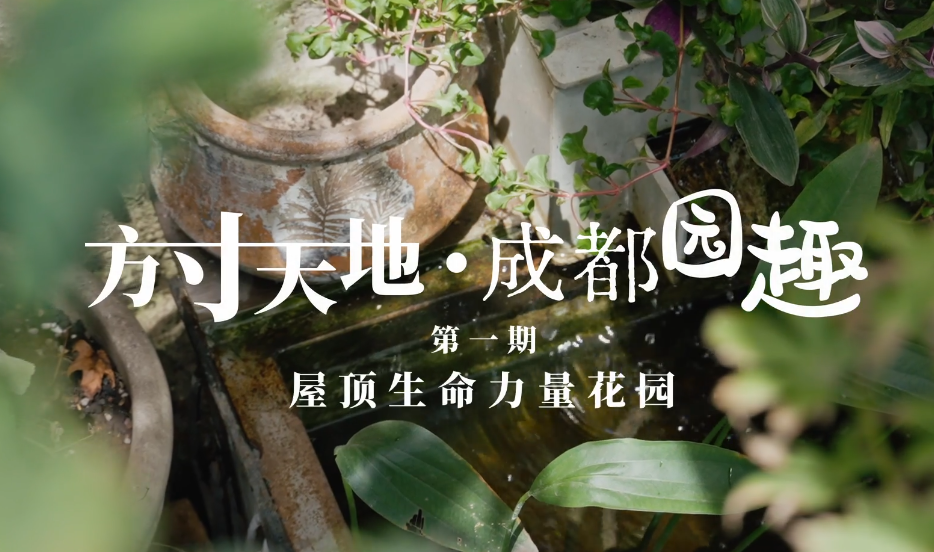 f37ec85b-b969-4ded-8cc5-d2af55da4294.png