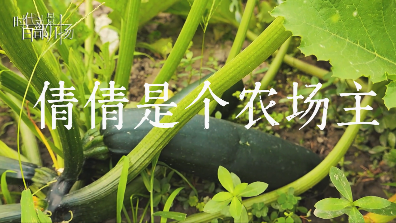 倩倩是个农场主