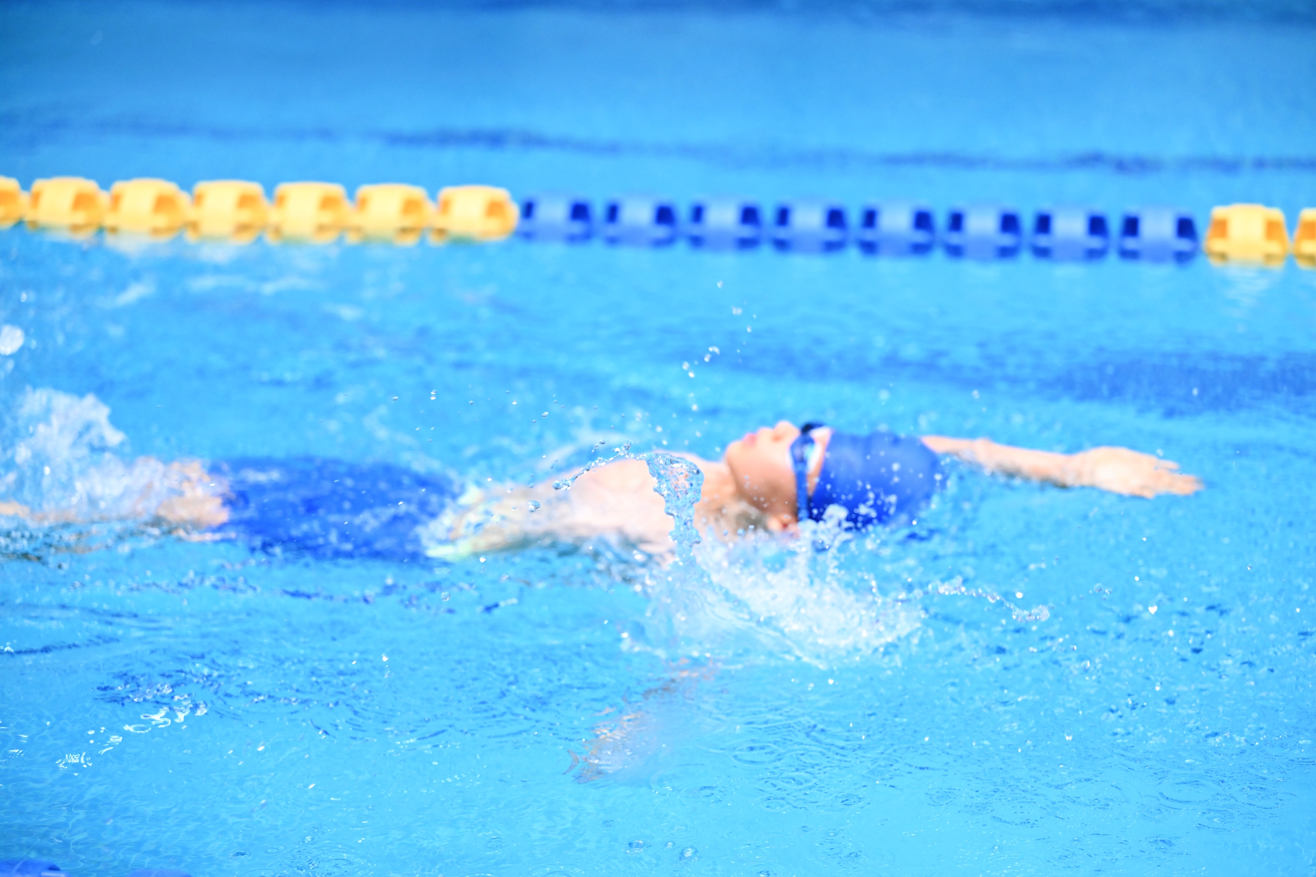 735040e0-3c3a-4606-b858-39be475aa482.jpg