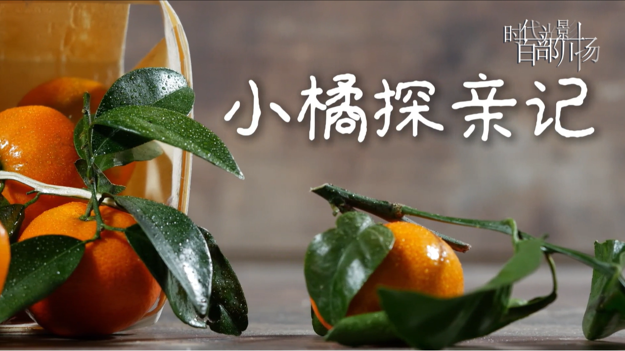 小橘探亲记