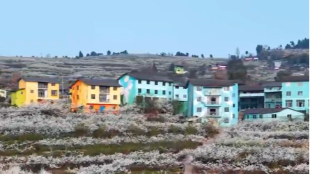 李花深处是吾乡