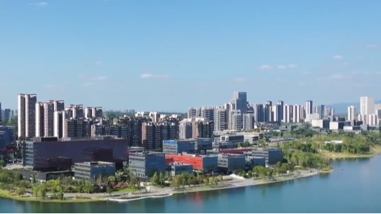 奋楫逐浪向新行