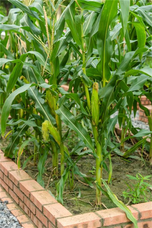 20250827_092724_130.png 20250827_092724_130.png