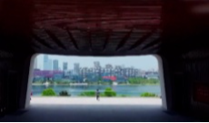 8月26日幸福观察