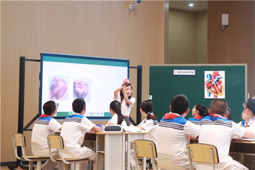 20250827_110353_163.jpg 20250827_110353_163.jpg