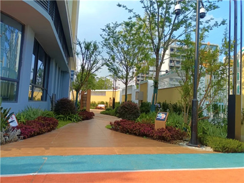 20250829_110003_146.jpg 20250829_110003_146.jpg