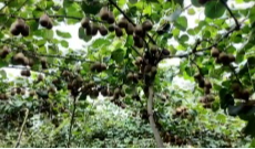 9月1日深夜快递