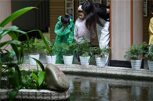 20250903_090459_038.jpg 20250903_090459_038.jpg