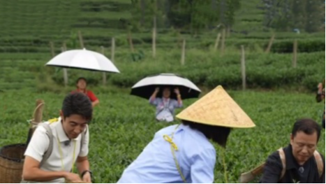 央视一套大型文旅探访节目《山水间的家》走进成都