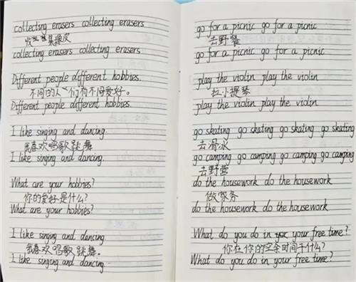 20250910_095133_096.jpg 20250910_095133_096.jpg