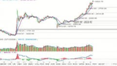 2025/9/11每日财经