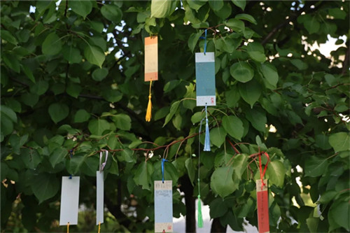 20250916_162248_269.jpg 20250916_162248_269.jpg