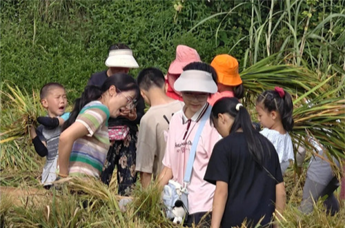 1758179816986.png 1758179816986.png