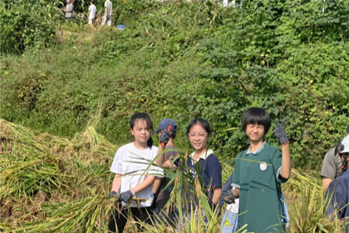 1758179826224.png 1758179826224.png