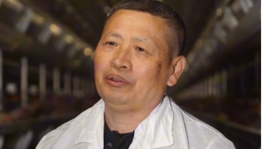 乡村振兴“实干家”与“贴心人”