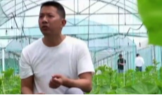 9月17日幸福观察