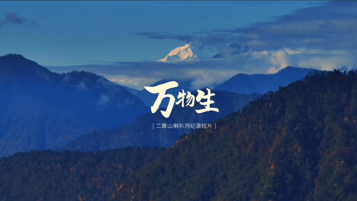 喇叭河生态志——先导片